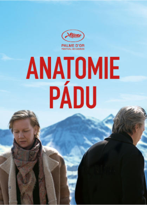 Anatomie pádu