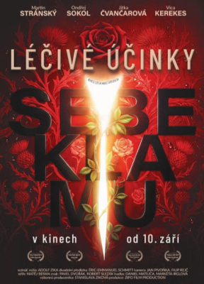  Léčivé účinky sebeklamu